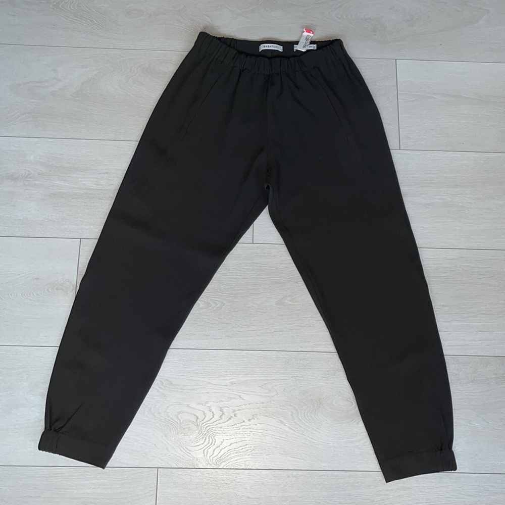 Aritzia / Babaton Conan pants